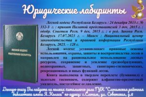 Оформление для сайта правовой книги для сдачи_Страница_5
